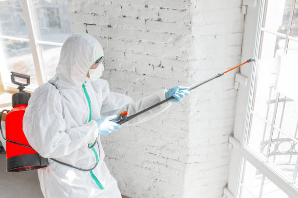 Mold Documentation for Insurance Claims in Suamico, WI